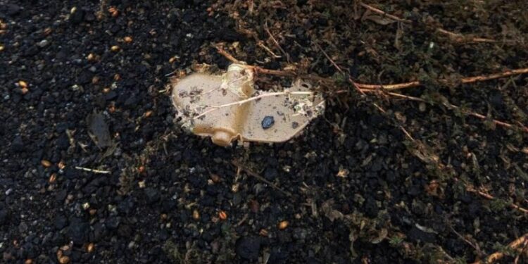 В Горловке два человека получили ранения при детонации украинской мины