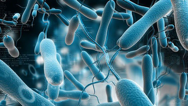 В Новосибирске разработали тесты для оперативного выявления коклюша