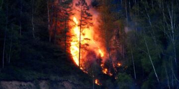 В пяти районах Карабаха бушуют лесные пожары