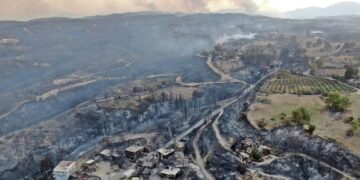 В Турции мужчина устроил лесной пожар, пытаясь сжечь старый матрас