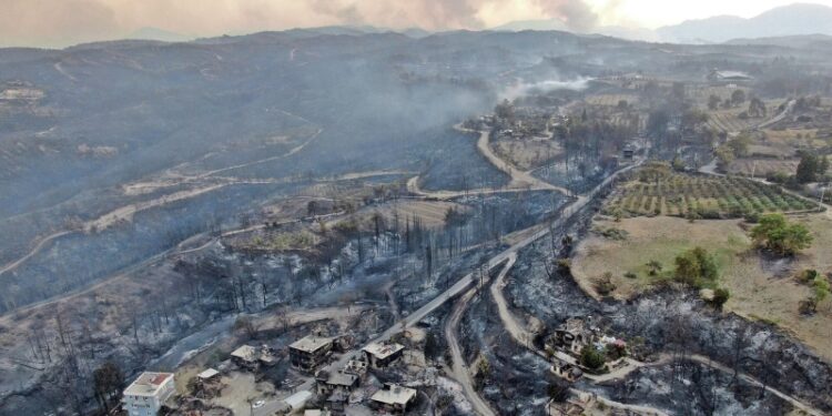 В Турции мужчина устроил лесной пожар, пытаясь сжечь старый матрас