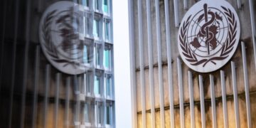 Во Франции и Италии зафиксированы случаи местной передачи чикунгуньи