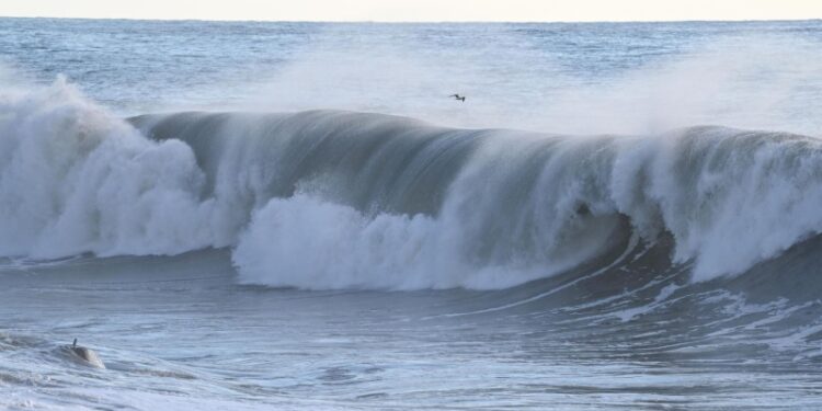 Волны цунами после землетрясения в России затронули побережье Калифорнии