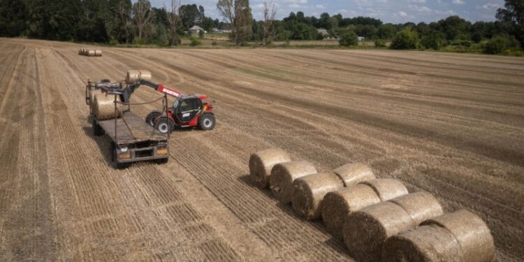 «Жрать нечего будет»: в Киеве выступили с жутким предупреждением