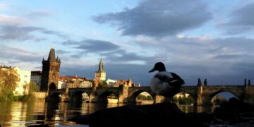 Больше половины иностранцев, проживающих в Чехии, являются украинцами