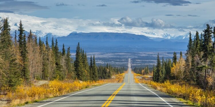 Эксперт прокомментировала выбор Аляски местом саммита России и США