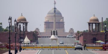 Индия будет наращивать торговлю с БРИКС, Африкой и АСЕАН, заявила эксперт