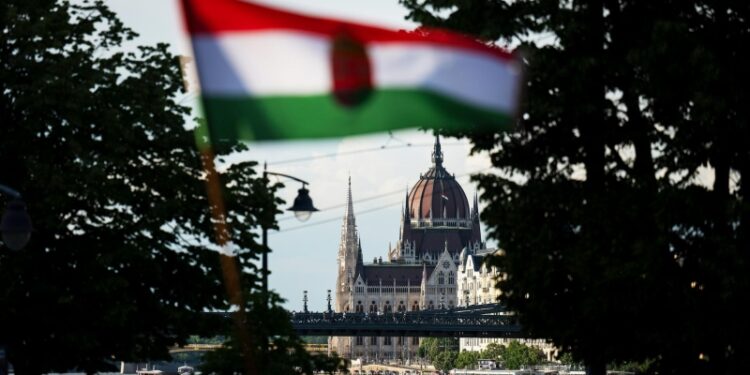 На Западе раскрыли неожиданную цель недавнего поступка Зеленского