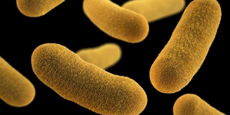 Смертельная бактерия захватила американские пляжи, пишут СМИ