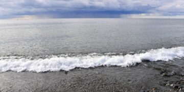 В Госдуме назвали цель попытки диверсии ВСУ в Черном море