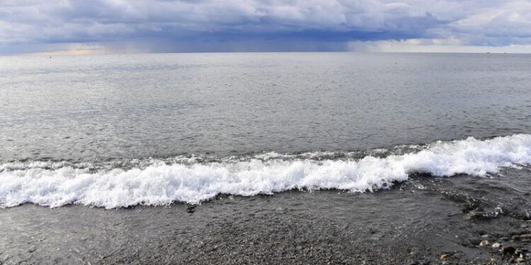 В Госдуме назвали цель попытки диверсии ВСУ в Черном море