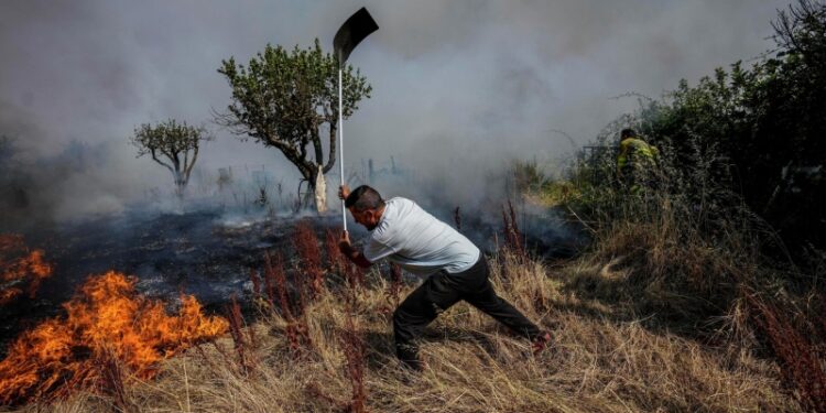 В Испании задержали 48 человек по подозрению в поджогах лесов