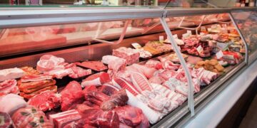 В мозге мужчины завелись паразиты из-за его любви к мясу