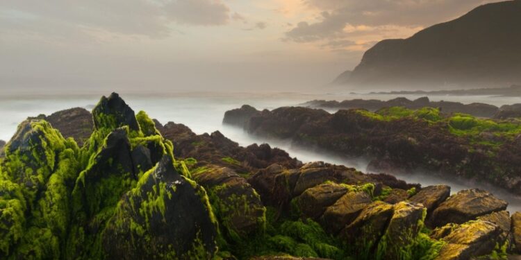 В Омане построят газопровод стоимостью 270 миллионов долларов