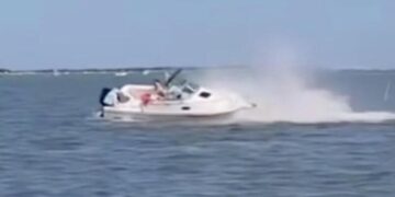 В США лодка врезалась в кита