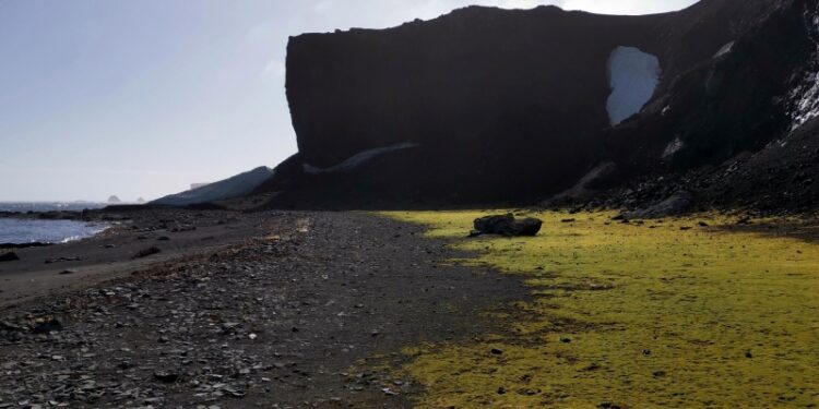 В США отменили угрозу цунами после землетрясения в проливе Дрейка