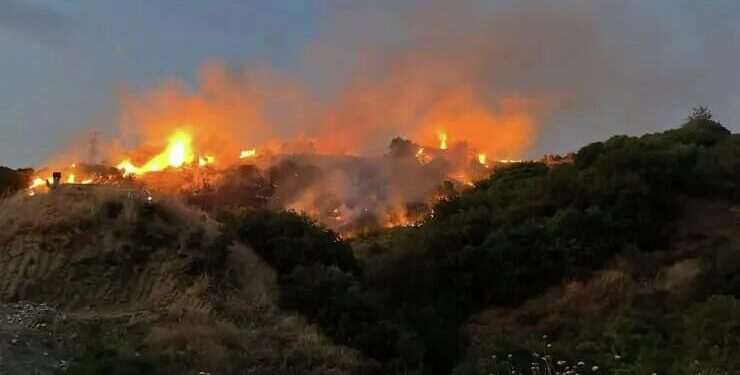 Лесные пожары в турецкой Аланье потушили