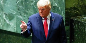 На Западе раскрыли, что сделал Трамп на встрече с Зеленским