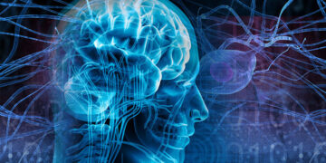 В Нижнем Новгороде тщательно изучили механизмы приступа эпилепсии