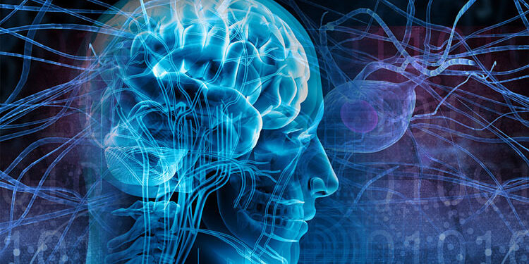 В Нижнем Новгороде тщательно изучили механизмы приступа эпилепсии