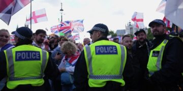 В Совфеде прокомментировали протесты в Лондоне