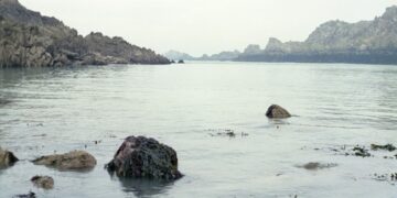 Во Франции спасли мигрантов, пытавшихся добраться до Британии через Ла-Манш