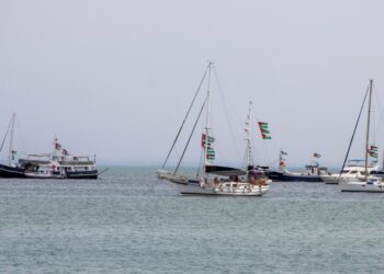 Активисты «Флотилии стойкости» объявили голодовку