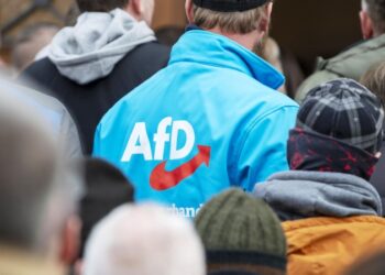 «Альтернатива для Германии» обновила рекорд поддержки среди населения