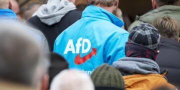 «Альтернатива для Германии» обновила рекорд поддержки среди населения
