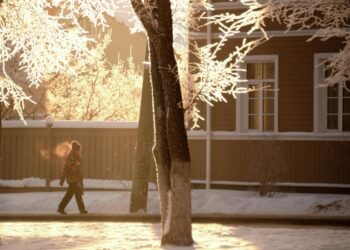 Британский участник СВО сжег свой паспорт в поддержку России