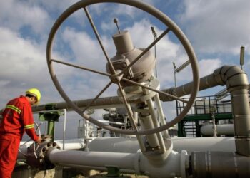 ЕС ускорит отказ от российского СПГ, заявил МИД Нидерландов