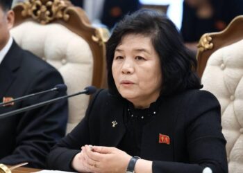 Глава МИД КНДР посетит Россию и Белоруссию