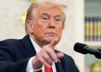 Глава МИД Турции оценил планы Трампа встретиться с Путиным и Зеленским