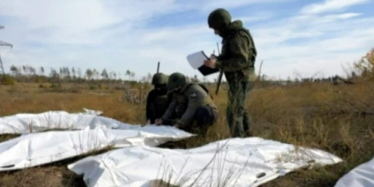 Из массового захоронения в Северодонецке извлекли останки 13 тел