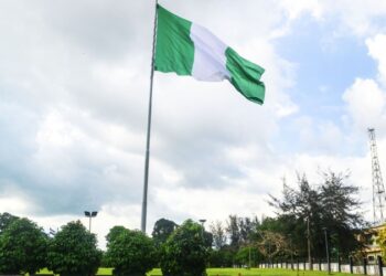 Нигерия заинтересована в переводе международных расчетов в нацвалюты