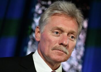 Песков назвал заявления главы ФСБ по «Турецкому потоку» важными