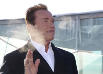 Шварценеггер предложил план по сохранению демократии в США