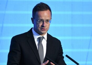 Сийярто на русском языке начал выступление на конференции в Минске