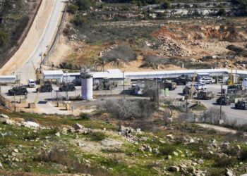 СМИ: активистка из «Флотилии стойкости» укусила сотрудницу тюрьмы Израиля