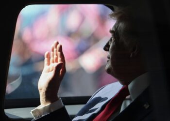 СМИ: Трамп отправил скрытое послание Путину