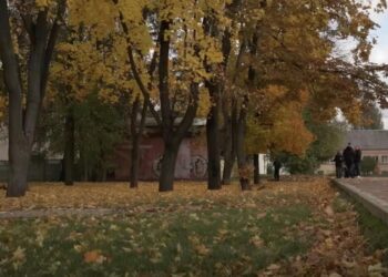 СМИ: жители Чернигова возмутились переименованием сквера в честь Трампа