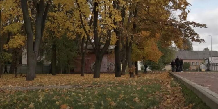 СМИ: жители Чернигова возмутились переименованием сквера в честь Трампа