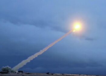 В Индии предупредили Запад после слов Путина о «Буревестнике»