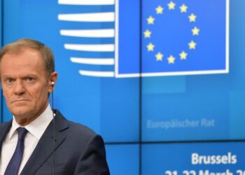 В Совфеде ответили на заявление Туска про удары по российским объектам