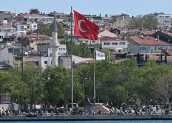 В Турции аннулировали лицензию платежной системы, популярной у россиян