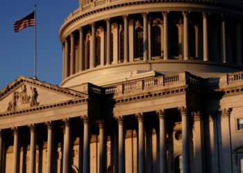 Американский политолог оценил компромисс в сенате США по шатдауну