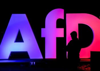 Депутат от АдГ заявил, что поедет на конгресс в Сочи, несмотря ни на что