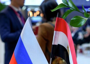 Египет продолжит укрепление двустороннего сотрудничества с Россией