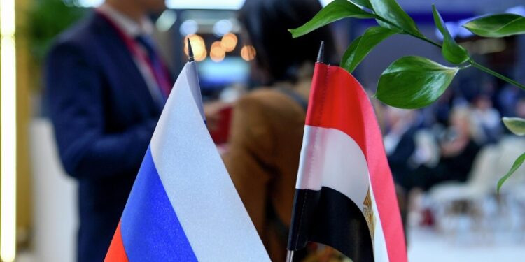 Египет продолжит укрепление двустороннего сотрудничества с Россией