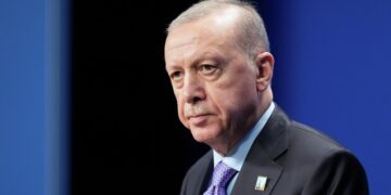 Эрдоган выразил намерение содействовать переговорному процессу по Украине